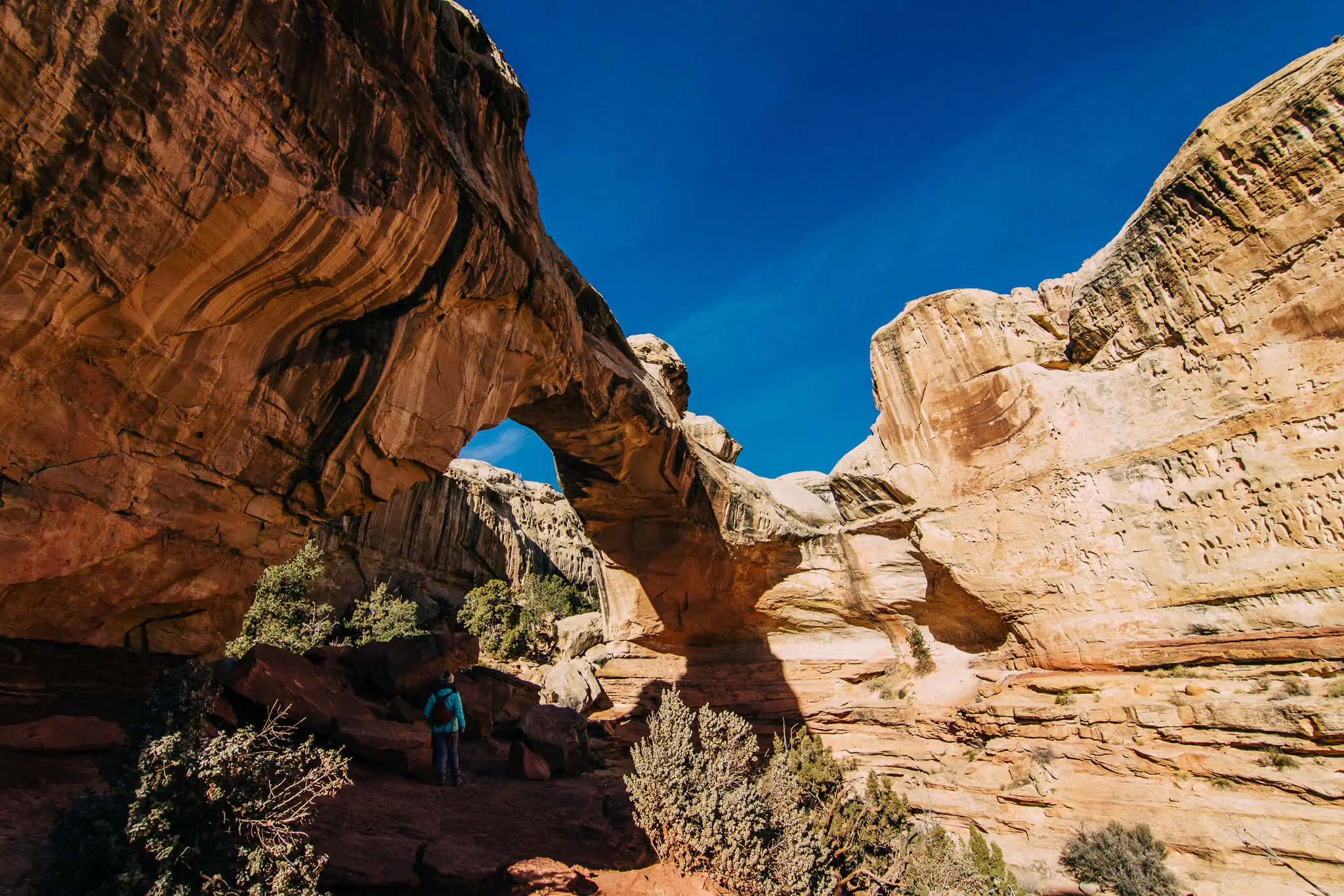 8 of the Best hikes in Capitol Reef National Park
