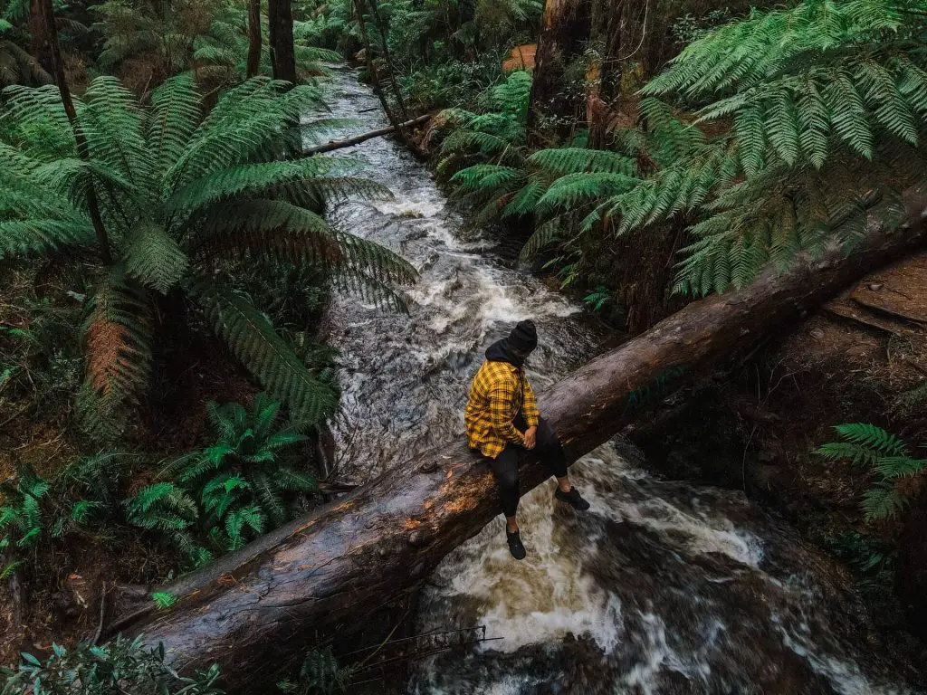 Hiker Sitting on Log Over River