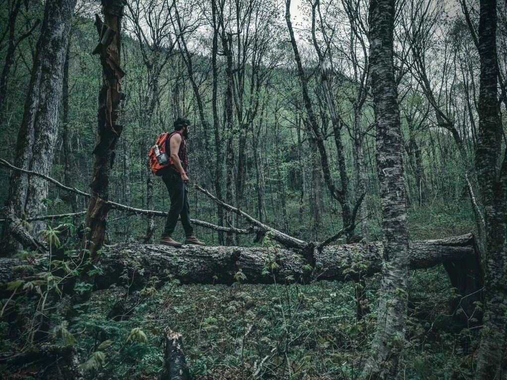 hiker walking across log in forest