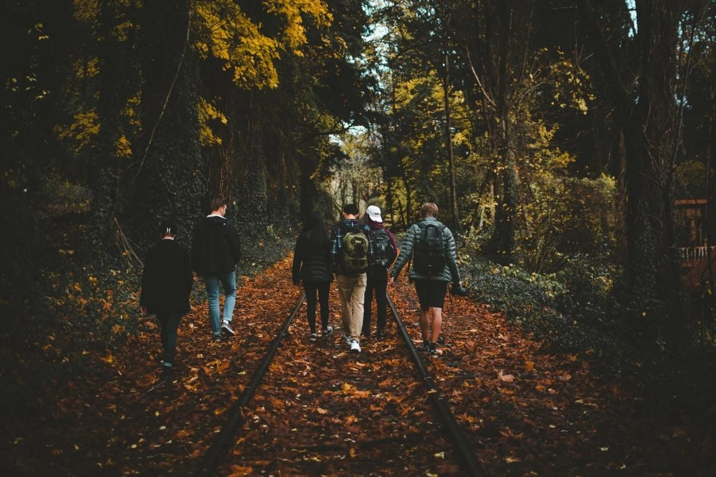 group of hikers on forest trail