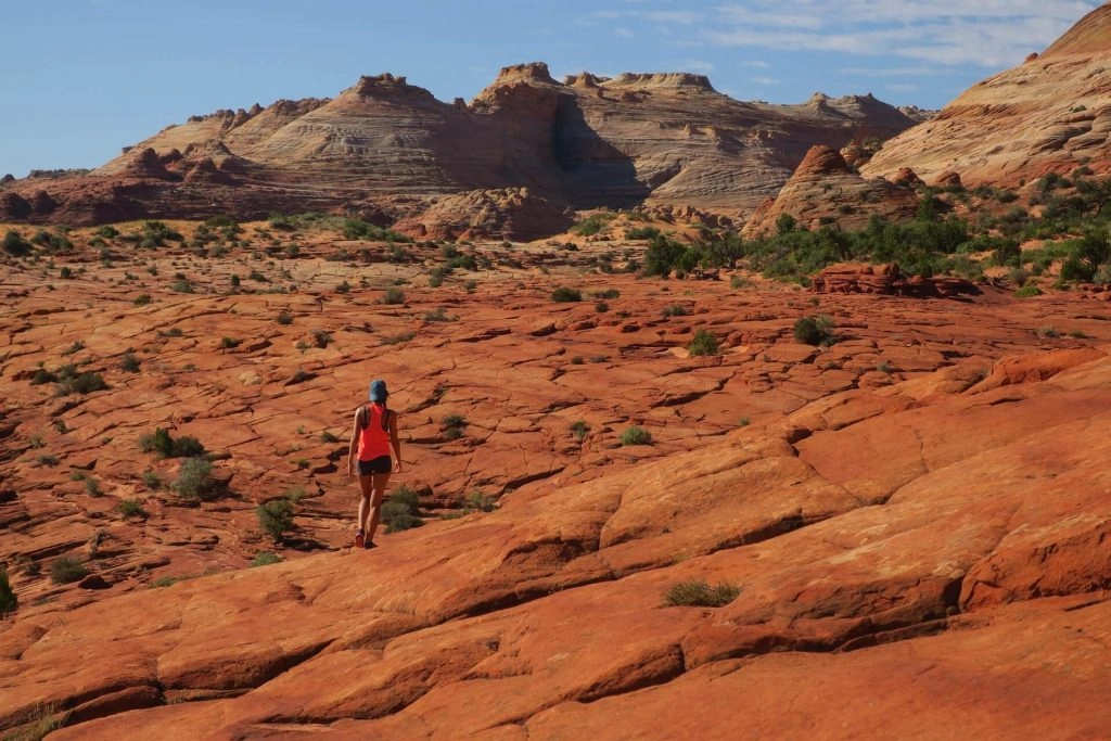 hiker in the red desert