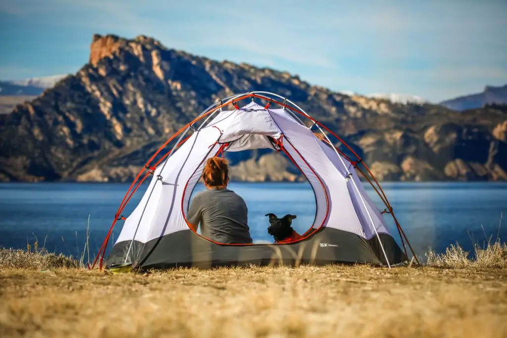 hiker relaxing in tent with dog
