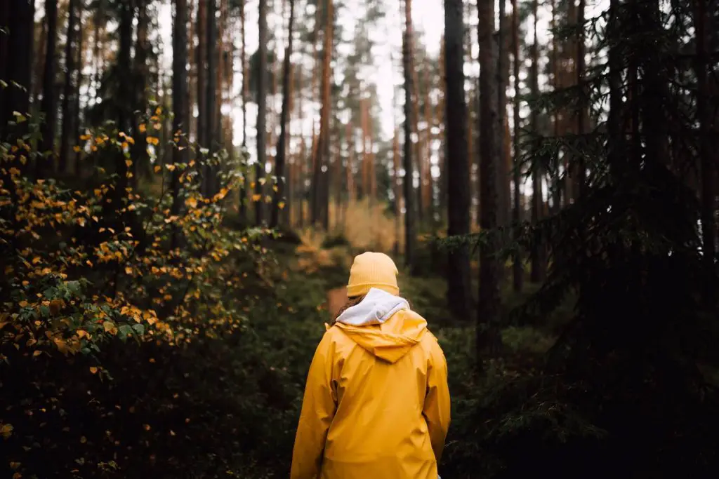 hiker in rain jacket 
