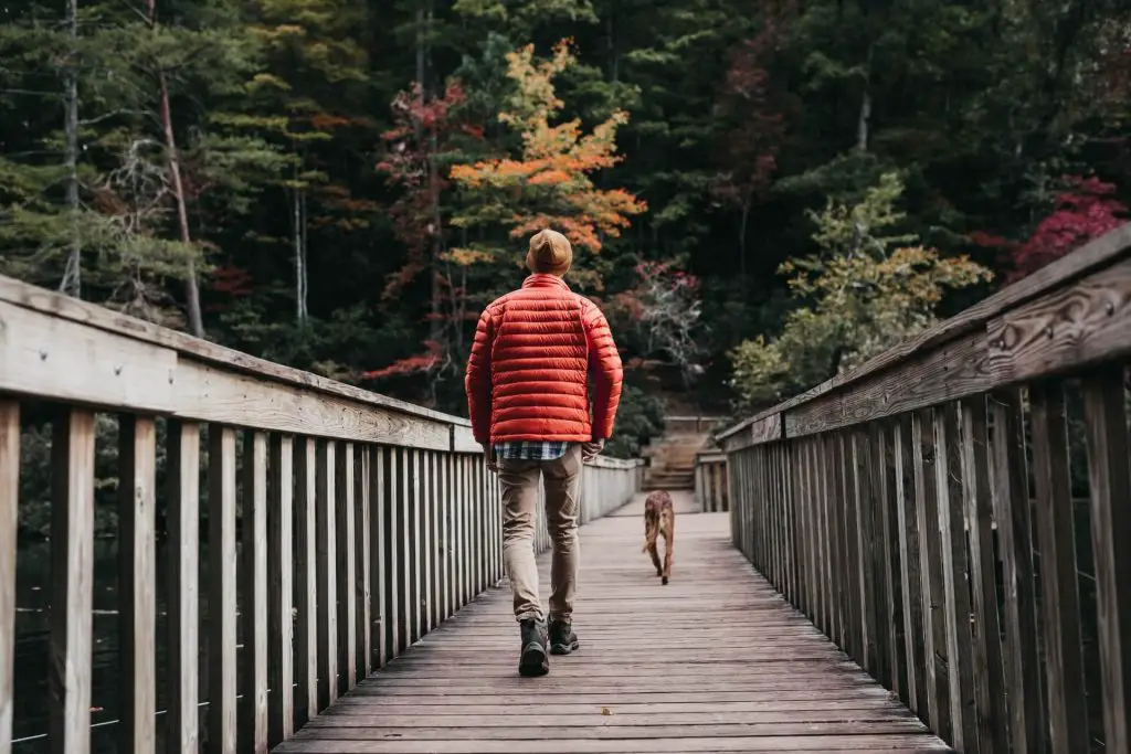 hiker walking with dog
