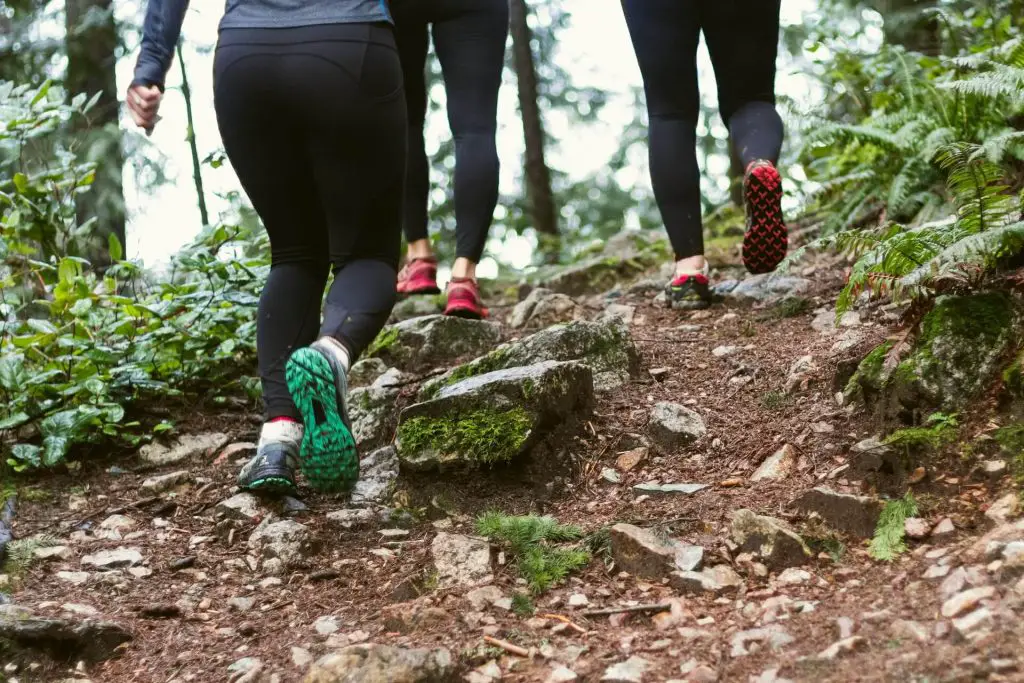 hikers legs on hiking trail