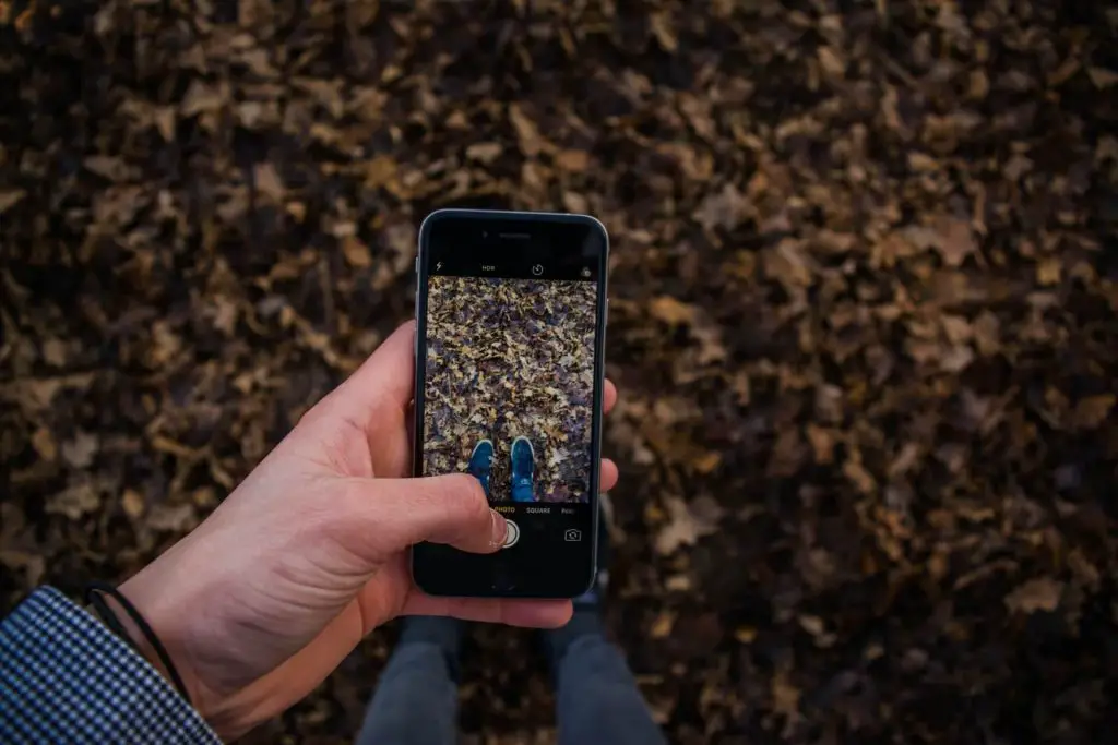 person holding phone in fall leaves