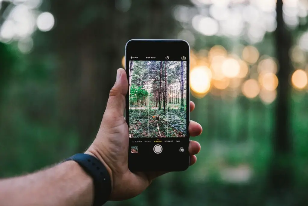 person holding phone while hiking