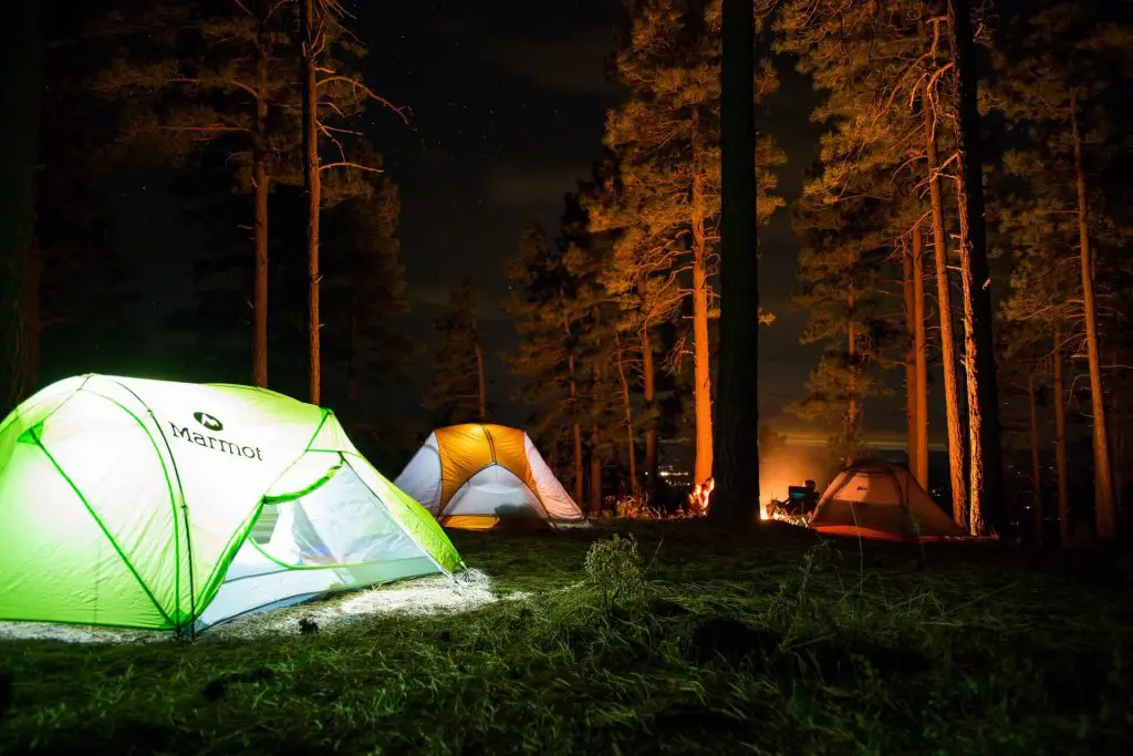 three tents in a forest at night