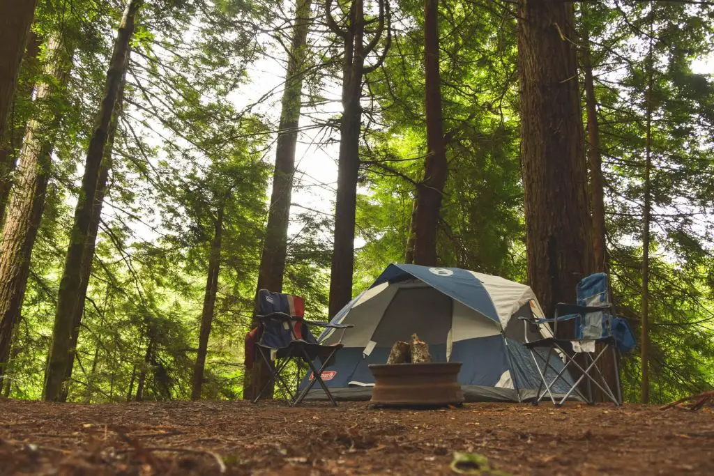 Camp and chairs setup in the woods