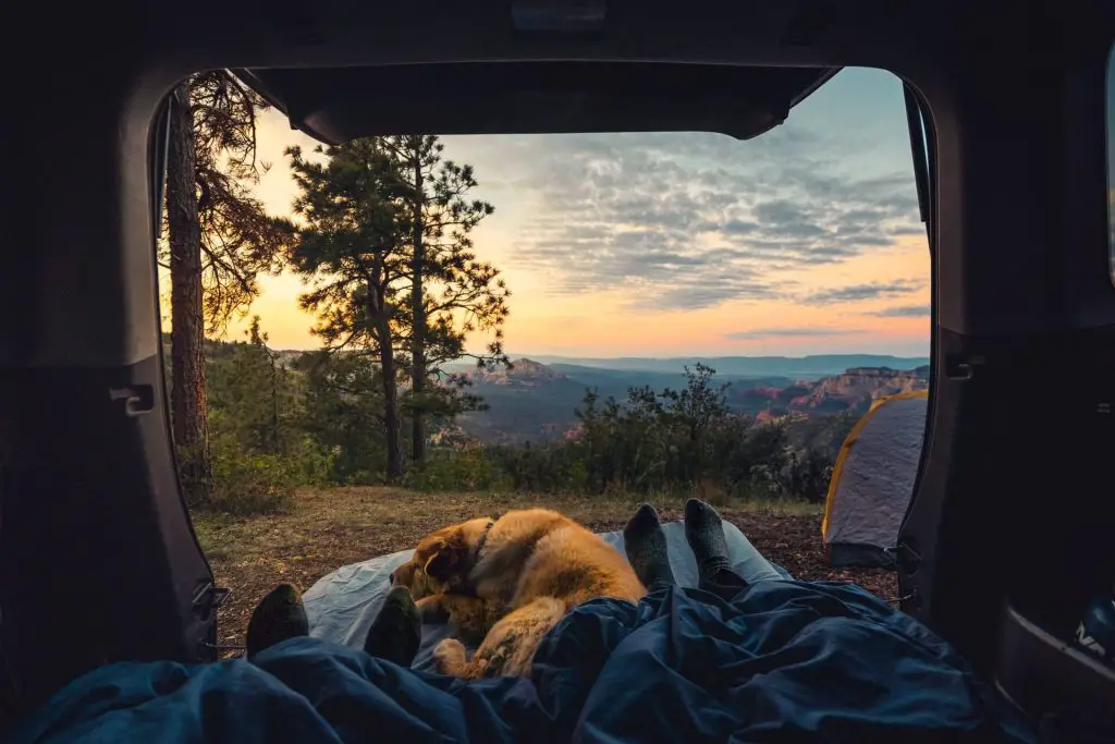 campers sleeping in the car with dog