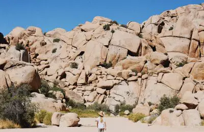 8 Short and Easy Hikes in Joshua Tree National Park