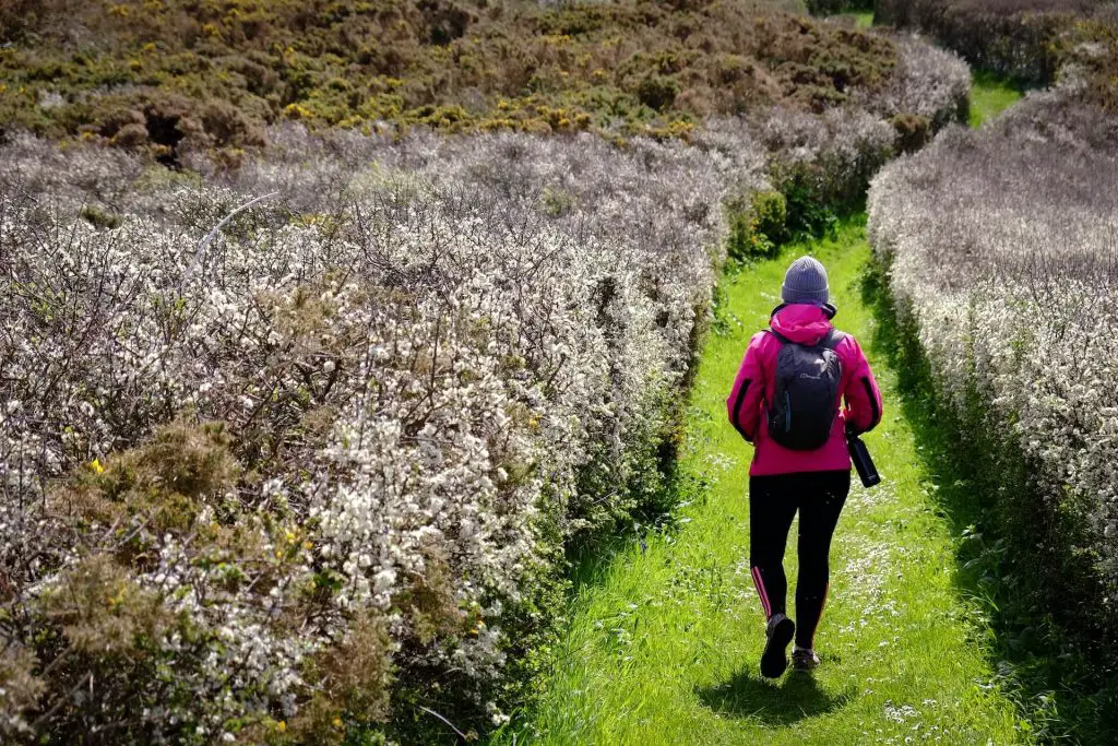 female hiker on grassy trail